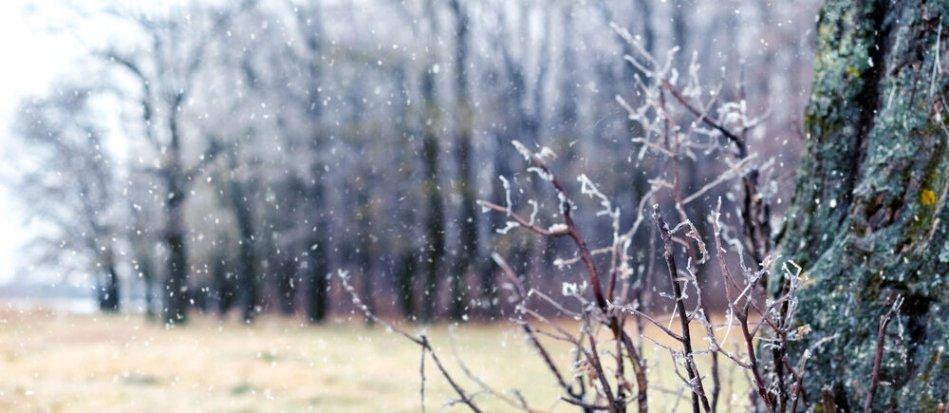 Actividades de invierno para disfrutar en familia