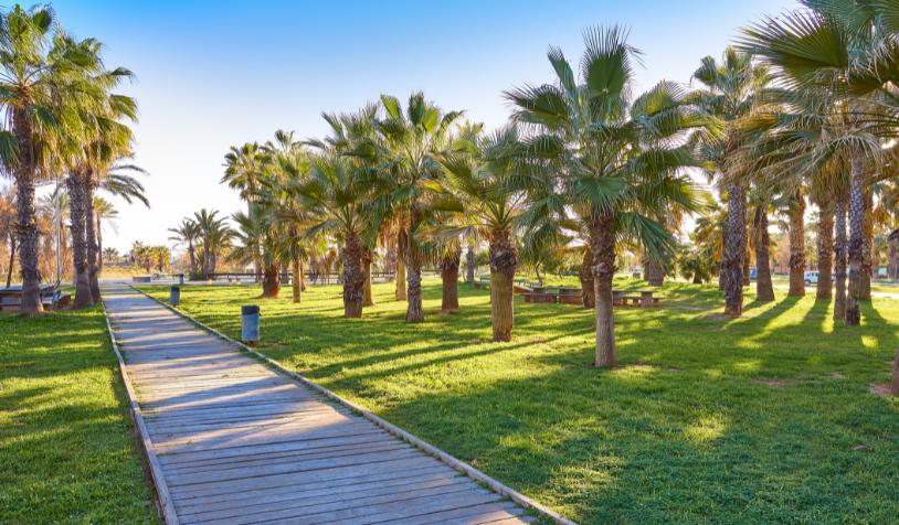 Descubre las playas familiares de Castellón de la Plana