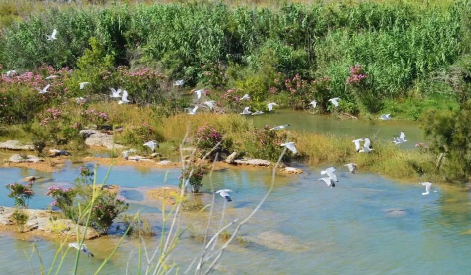 What to see and do in Almassora with kids: Plans to enjoy as a family