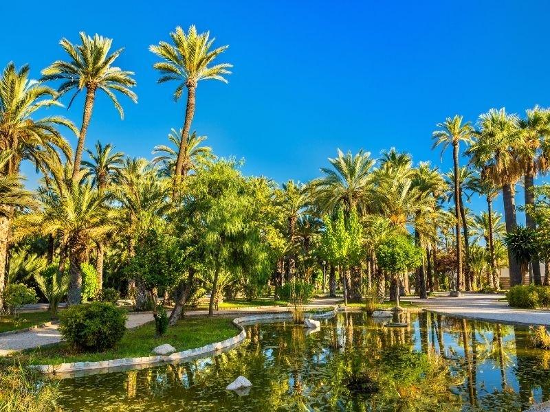 Visitar_Elche_con_ni&ntilde;os