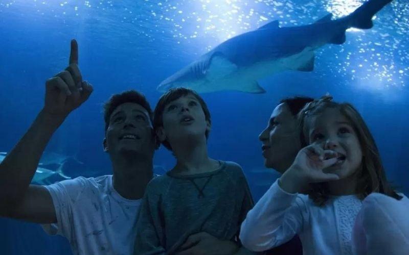 Visit_the_Aquarium_of_Valencia