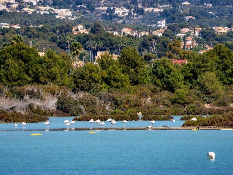 Calpe_salt_flats