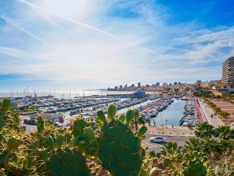 Visitar_campello_con_ni&ntilde;os