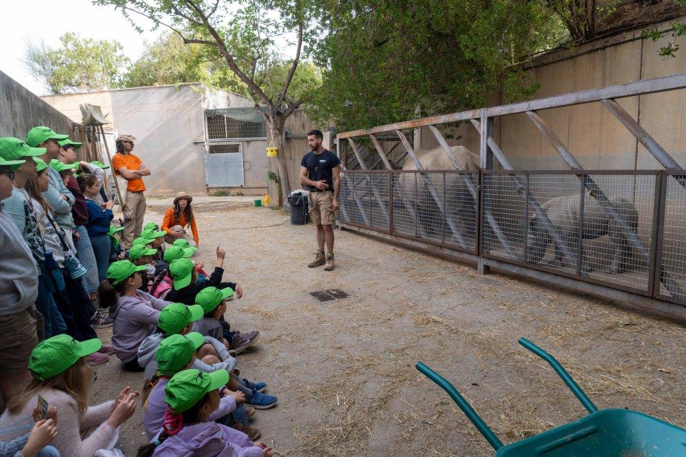 Summer school at BIOPARC Valencia