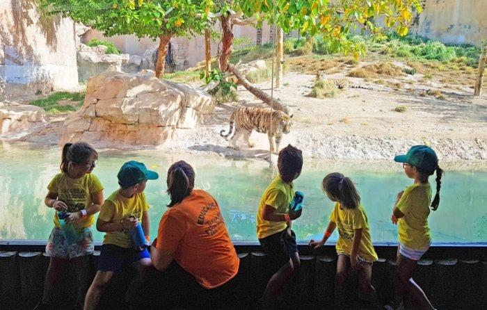 Summer school at Terra Natura and Aqua Natura Benidorm