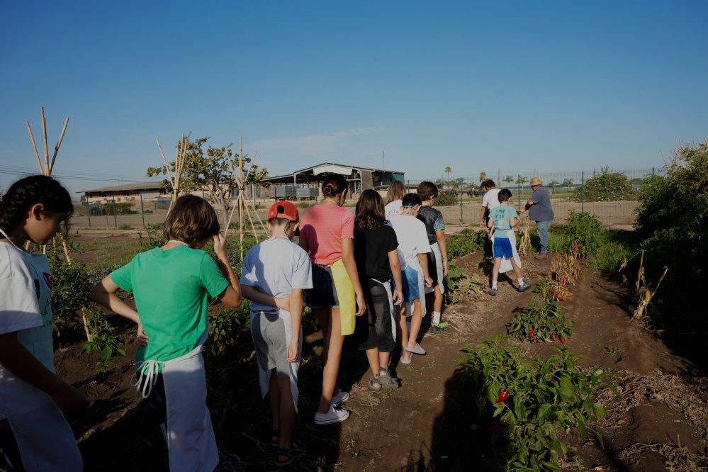 Cooking summer school at Valencia Club Cocina