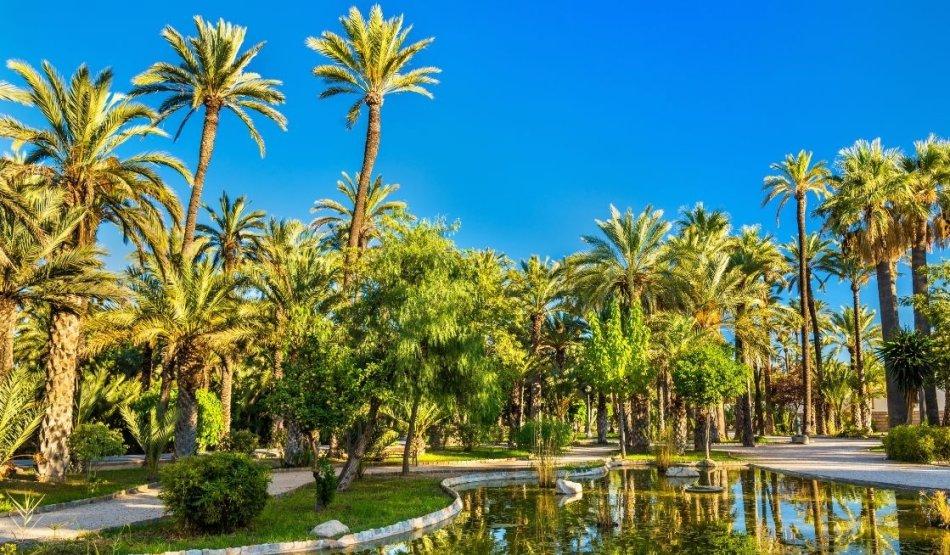8 Things to do in Elche with children