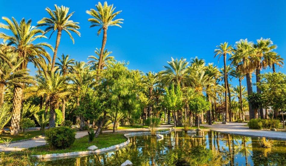 Los mejores planes para hacer en Elche con niños