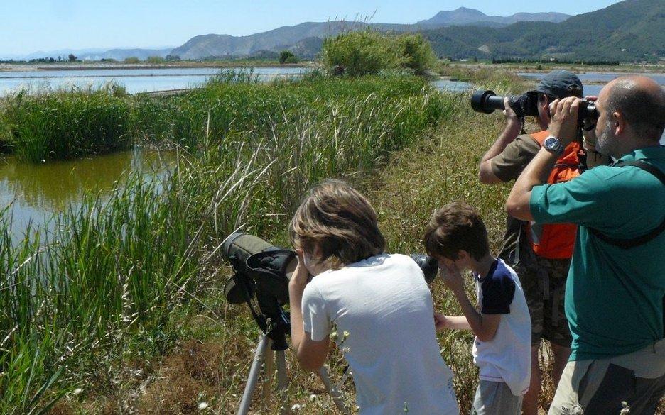 birding familiar albufera