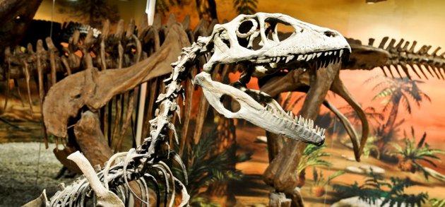 Museo_dinosaurios_Comunitat_Valenciana