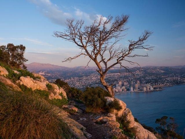 Vistas desde el Pe&ntilde;&oacute;n